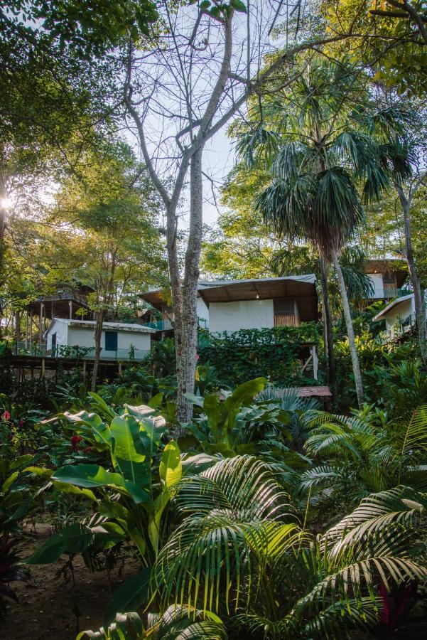 Serrano Tayrona Lodge Ель-Зайно Екстер'єр фото