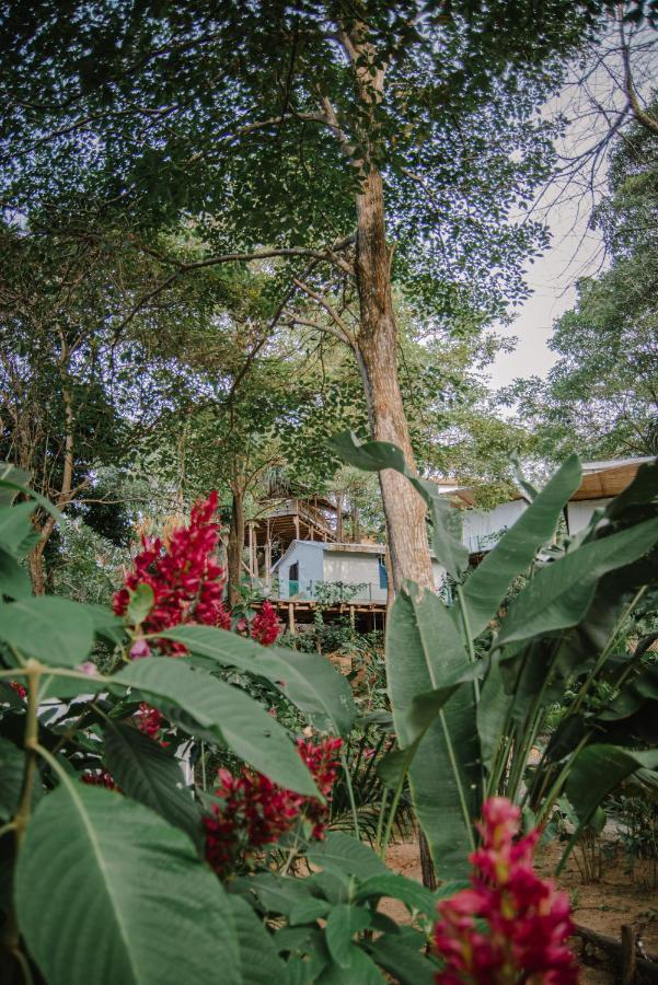 Serrano Tayrona Lodge Ель-Зайно Екстер'єр фото