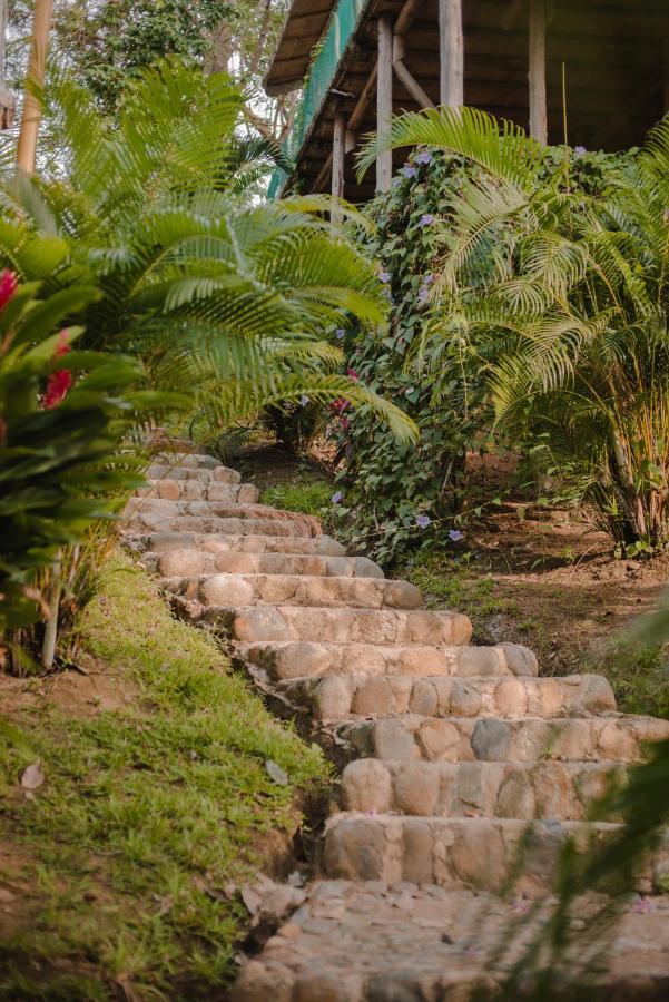 Serrano Tayrona Lodge Ель-Зайно Екстер'єр фото